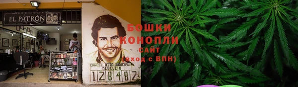 соль ск Арсеньев