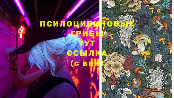 таблы Армянск