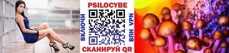 Галлюциногенные грибы MAGIC MUSHROOMS  Купить закладки  Пыталово 